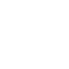 Spotify Icon